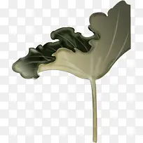 手绘绿色荷叶插画-空若网 手绘绿色荷叶插画-空若网