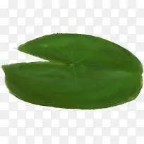 ÊÖ»æÂÌÉ«ºÉÒ¶Ë®²Ê-¿ÕÈôÍø ÊÖ»æÂÌÉ«ºÉÒ¶Ë®²Ê-¿ÕÈôÍø