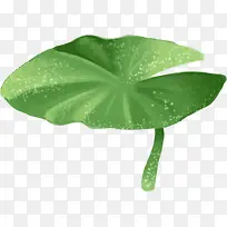手绘创意绿色荷叶-空若网 手绘创意绿色荷叶-空若网