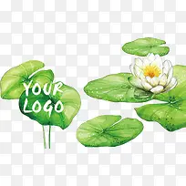 ˮ�ʺɻ���Ҷװ��-������