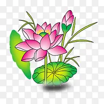 荷花素材-空若网 荷花素材-空若网