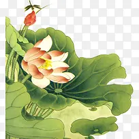 水彩荷叶荷花花苞-空若网 水彩荷叶荷花花苞-空若网