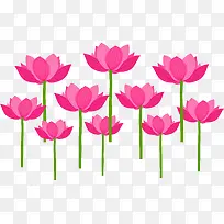 手绘荷花-空若网 手绘荷花-空若网