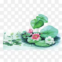 手绘女装荷叶-空若网 手绘女装荷叶-空若网