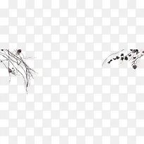 ����֦-������