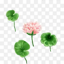 卡通手绘荷花清新荷叶-空若网 卡通手绘荷花清新荷叶-空若网