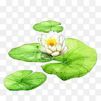 �ֻ�ɻ�-������