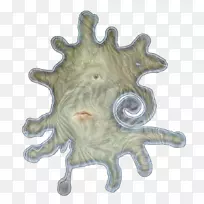 �����Զ����Һ-������