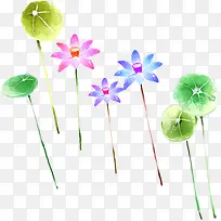 ��ɫ��ͨ�����Ҷ-������