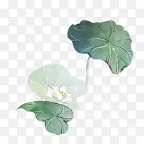 水彩荷花水彩荷叶-空若网 水彩荷花水彩荷叶-空若网