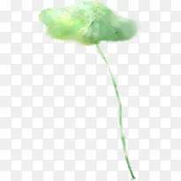 手绘荷叶创意海报-空若网 手绘荷叶创意海报-空若网