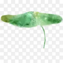 �ֻ��Ҷ����չ��-������