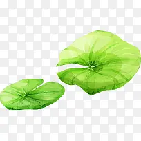 �ֻ��Ҷ�廭�ز�-������