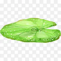 手绘荷叶水彩画风-空若网 手绘荷叶水彩画风-空若网