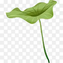 荷叶插画景观素材-空若网 荷叶插画景观素材-空若网