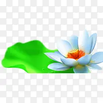 手绘白色荷花荷叶-空若网 手绘白色荷花荷叶-空若网