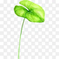 �ֻ�ˮī��Ҷ�廭-������