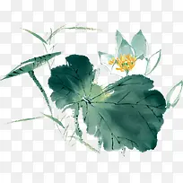 �ֻ�ˮ�ʽ�ʦ�ں�Ҷ-������