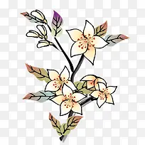 ʸÁ¿Ë®²ÊÖ²ÎïËØ²Ä-¿ÕÈôÍø ʸÁ¿Ë®²ÊÖ²ÎïËØ²Ä-¿ÕÈôÍø