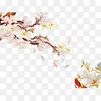 �껭�ز�-������