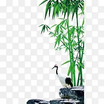 绿竹素材-空若网 绿竹素材-空若网