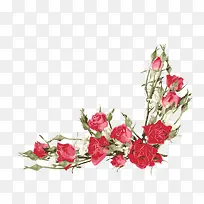 红色玫瑰花边框-空若网 红色玫瑰花边框-空若网