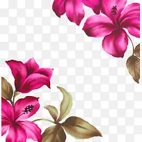 花朵边框-空若网 花朵边框-空若网