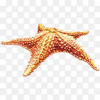 ������Ӱ���ߵĺ���Ч��-������