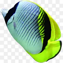 创意摄影海底海边小丑鱼-空若网 创意摄影海底海边小丑鱼-空若网