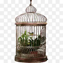 摄影关在笼子里面的喜鹊-空若网 摄影关在笼子里面的喜鹊-空若网