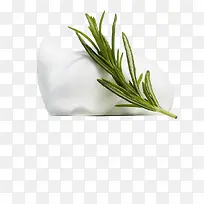 摄影艺术植物热带水果-空若网 摄影艺术植物热带水果-空若网