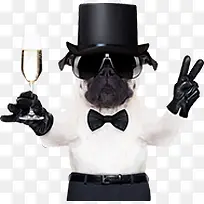 ��������Ӱ�Ⱦ�Ч��-������