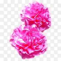 创意高清摄影红色的手工花朵-空若网 创意高清摄影红色的手工花朵-空若网