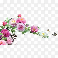 开放的海棠花摄影美好-空若网 开放的海棠花摄影美好-空若网