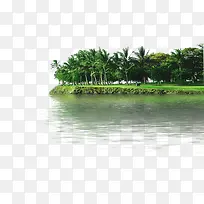 ��Ӱ����Ч����ľ-������