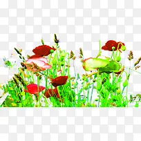 ������Ӱ����ֲ��-������