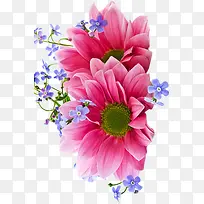 摄影海报夏日红色花朵-空若网 摄影海报夏日红色花朵-空若网