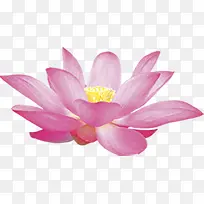 摄影绿色莲花效果-空若网 摄影绿色莲花效果-空若网