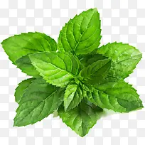 ��Ӱ���պ�����ҶЧ��-������