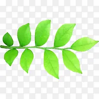 摄影手绘夏日海报绿叶-空若网 摄影手绘夏日海报绿叶-空若网