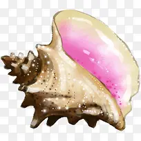 摄影夏日沙滩手绘贝壳-空若网 摄影夏日沙滩手绘贝壳-空若网