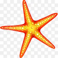 摄影海星设计效果-空若网 摄影海星设计效果-空若网