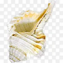 摄影夏日沙滩贝壳-空若网 摄影夏日沙滩贝壳-空若网