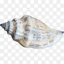 ��Ӱ���պ���ɳ̲����-������