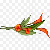 摄影手绘夏日花朵效果-空若网 摄影手绘夏日花朵效果-空若网