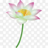 摄影手绘立体莲花效果-空若网 摄影手绘立体莲花效果-空若网