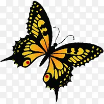 ��Ӱ�ֻ溣���������-������