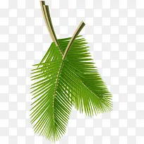 ��Ӱ���������ֻ���Ҷ-������