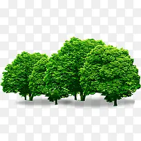 夏日摄影植物树木图-空若网 夏日摄影植物树木图-空若网