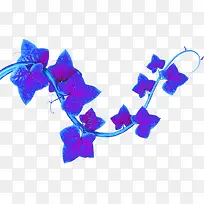 摄影海报手绘花藤效果-空若网 摄影海报手绘花藤效果-空若网